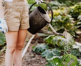 Agriculture Products