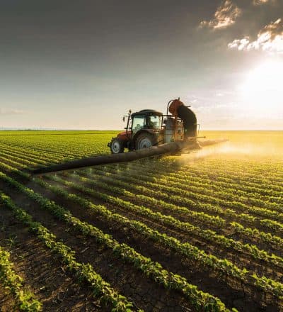 Natural Way Of Agriculture